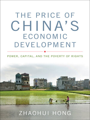 cover image of The Price of China's Economic Development